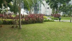 Elias Green (D18), Condominium #143688952